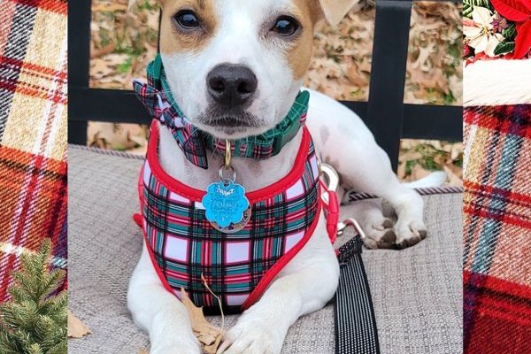 January 13, 2026 – Lil Man