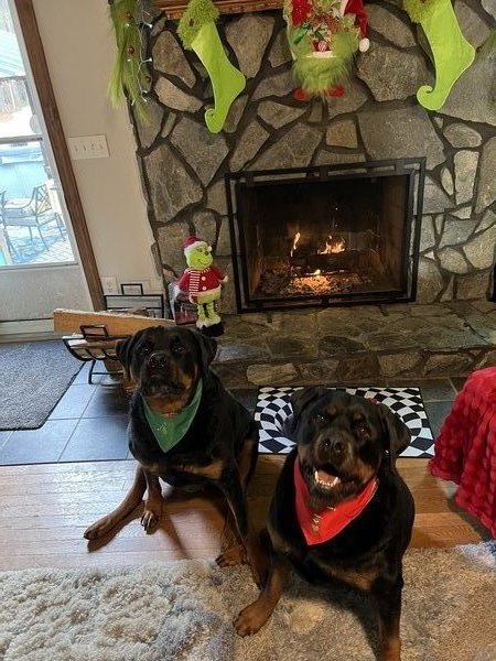 January 16, 2026 – Toben and Mia