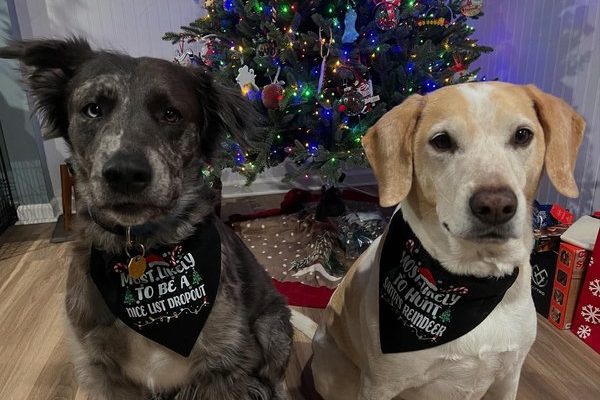 January 19. 2026 – Beamer and Bowden