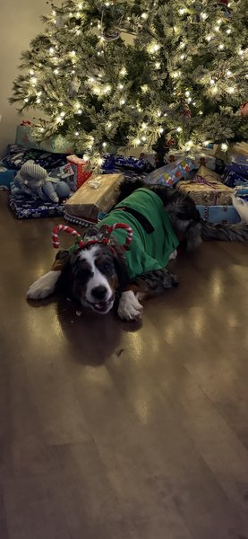 January 20, 2026 – Parks Theodore Baier