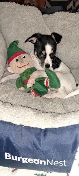 January 28, 2026 – Nina