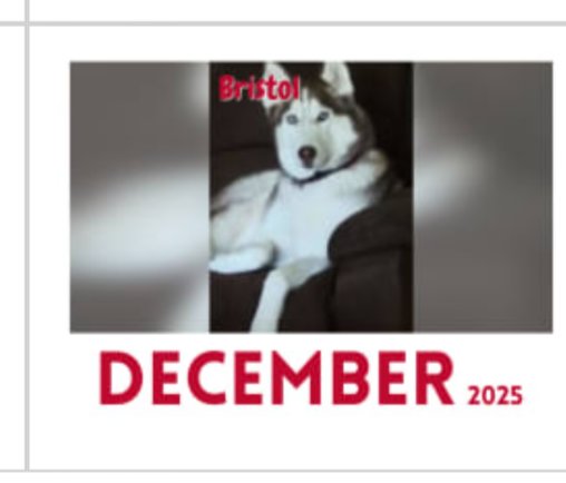 February 8, 2026 – Bristol