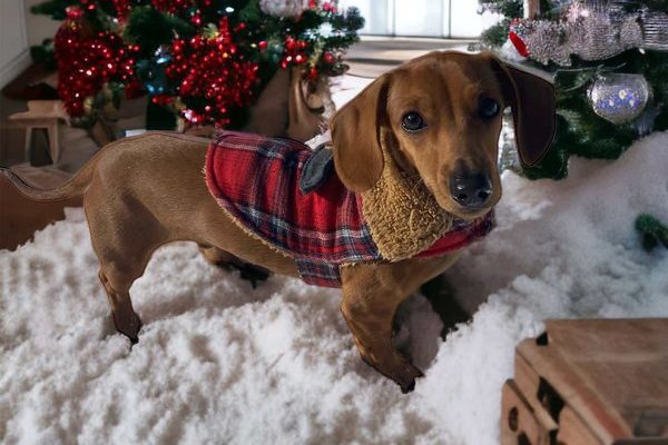 February 10, 2026 – Otis