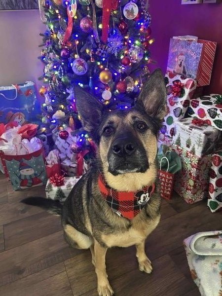 February 11, 2026 – Freya