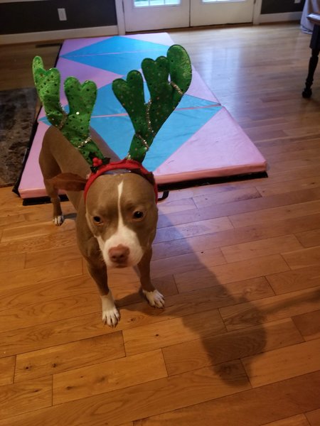 February 13, 2026 – Gigi