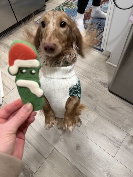 February 17, 2026 – Pickles