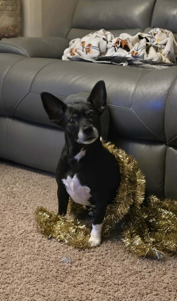 February 22, 2026 – Bella February 22, 2026 – Bella