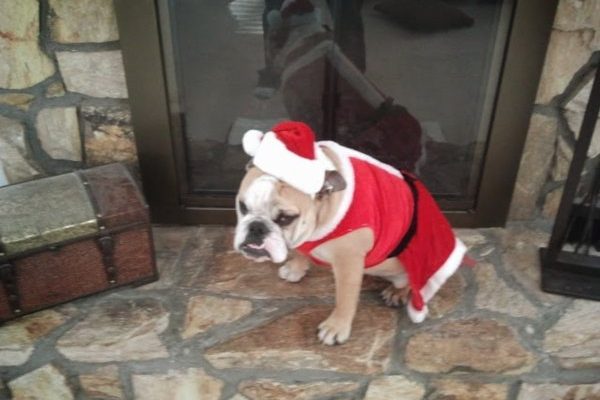 February 28, 2026 – Tootie