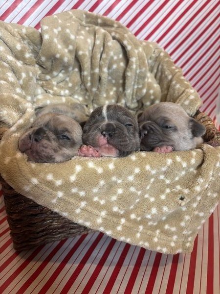 March 12, 2026 – Larry, Mo and Shirley