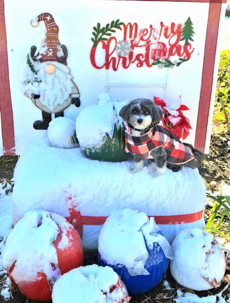 January 10, 2026 – Tucker January 10, 2026 – Tucker