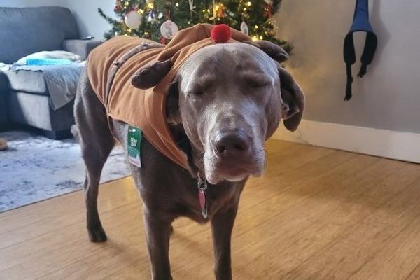 March 20, 2026 – Beau March 20, 2026 – Beau