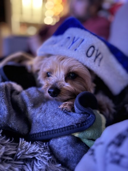 March 23, 2026 – Sadie