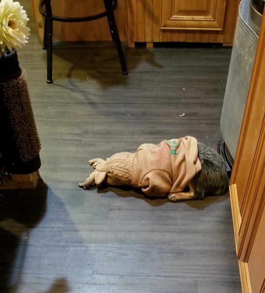 March 1, 2026 – Isabella Blue March 1, 2026 – Isabella Blue