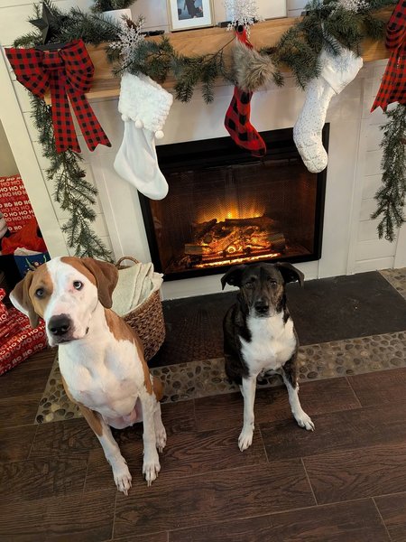 April 13, 2026 – Chief and Maximus April 13, 2026 – Chief and Maximus