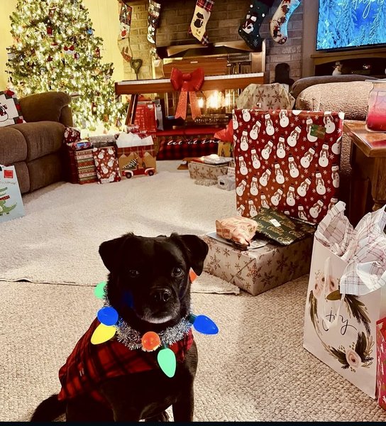 April 20, 2026 – Simon