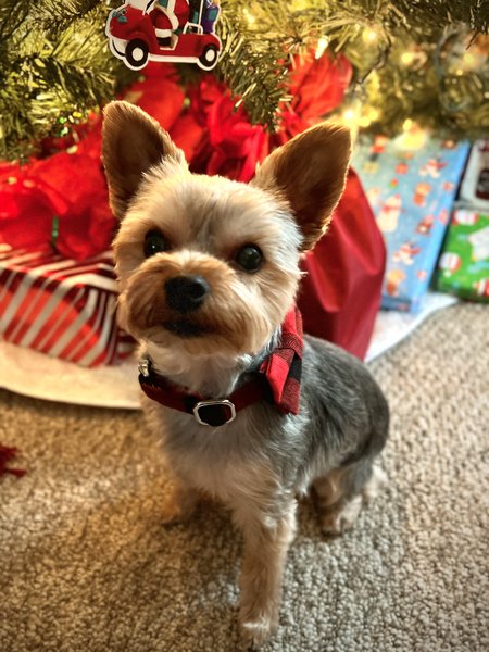 April 25, 2026 – Murphy