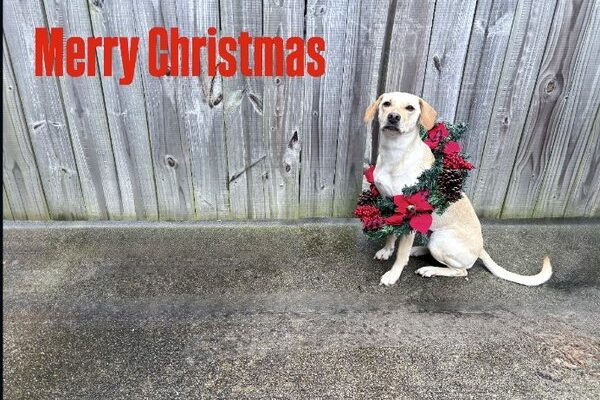 April 26, 2026 – Ellie