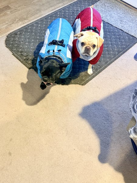 April 27, 2026 – Franko and Lei