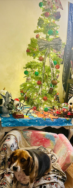 April 28, 2026 – Willie