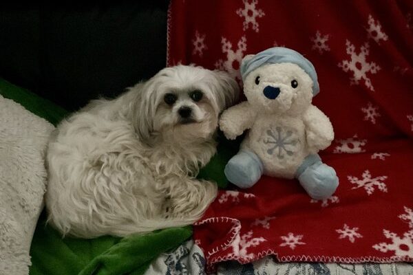 April 30, 2026 – Angel