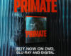 Promotional image for the film Primate featuring a blue‑toned background, a Blu‑ray box to the center, and a large red title 'PRIMATE' above; text at bottom reads 'BUY NOW ON DVD, BLU-RAY AND DIGITAL'.