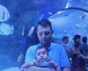 Man in a light blue shirt holding a baby inside a transparent aquarium tunnel, with blue lighting and fish swimming around.