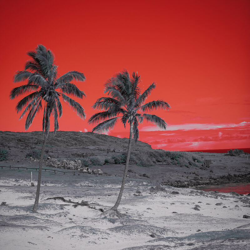 Two leaning palm trees on a sandy beach under a vivid red sunset sky.
