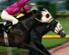 Jockey in bright pink riding a white-faced horse at full speed in a horse race on a track.