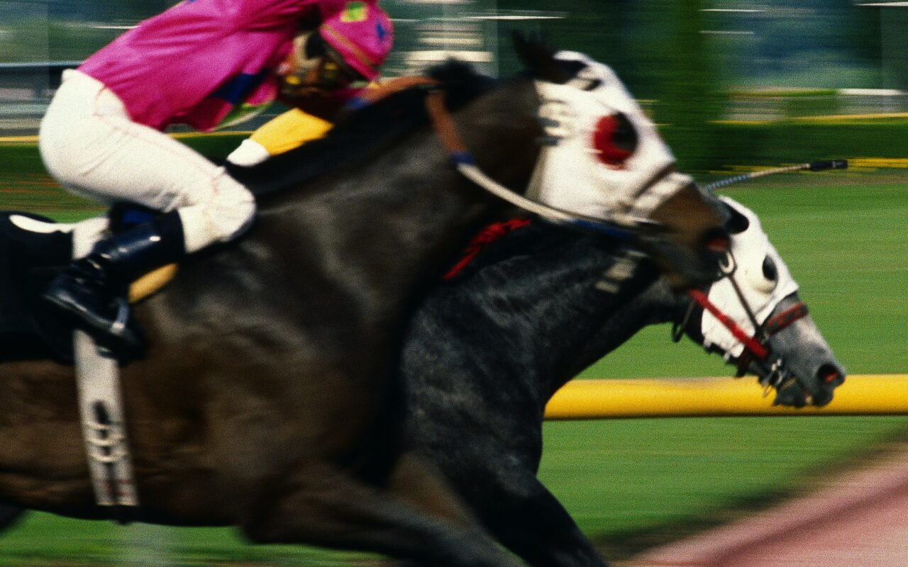 Jockey in bright pink riding a white-faced horse at full speed in a horse race on a track.