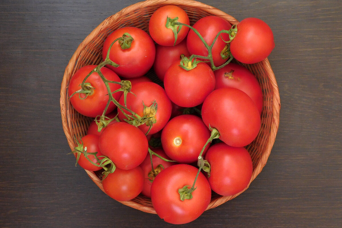 Basket of ripe red tomatoes with green stems on a dark wooden surface beneath.