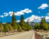 Two-lane road winds through a pine forest toward snow-capped mountains under a bright blue sky.