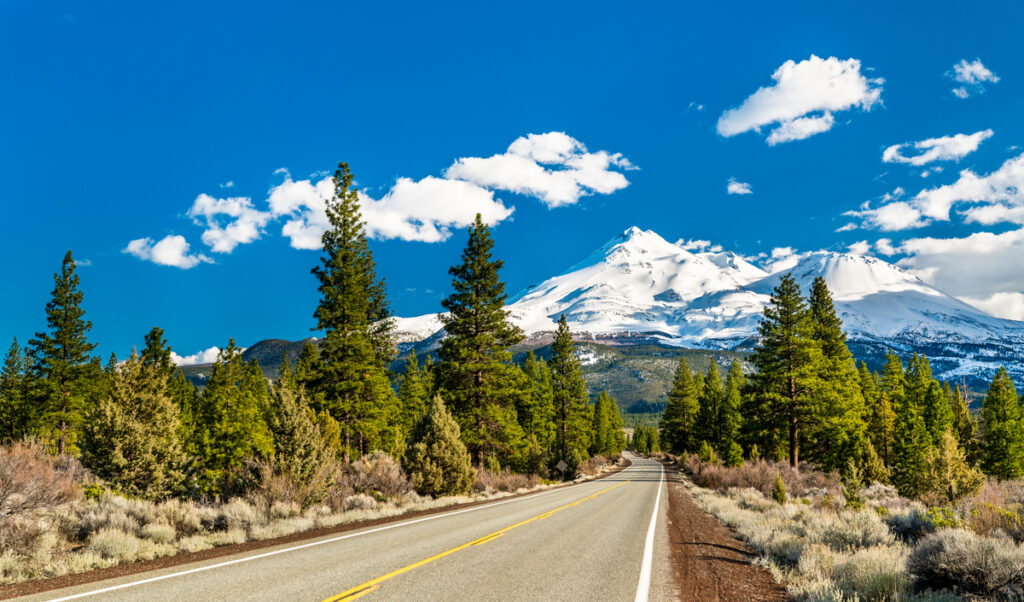 Two-lane road winds through a pine forest toward snow-capped mountains under a bright blue sky.