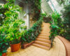 Indoor conservatory with a curved tan tile path, stairs, and dense tropical greenery under a glass roof.