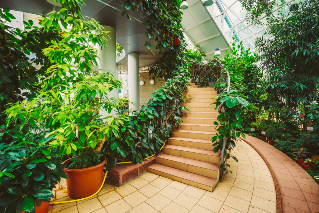 Indoor conservatory with a curved tan tile path, stairs, and dense tropical greenery under a glass roof.